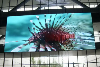 LED的核心知识你知道多少？