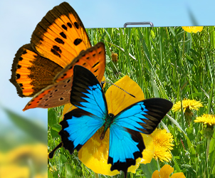 钱柜QG777对户外LED显示屏的验收标准详情