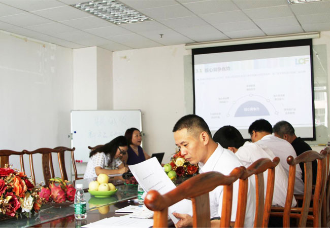 上市办领导听钱柜QG777创始人龙平芳女士做深度汇报